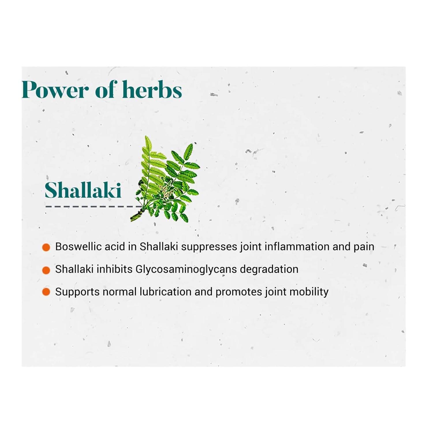HIMALAYA WELLNESS SHALLAKI (BONE & JOINT PAIN RELIEF)
