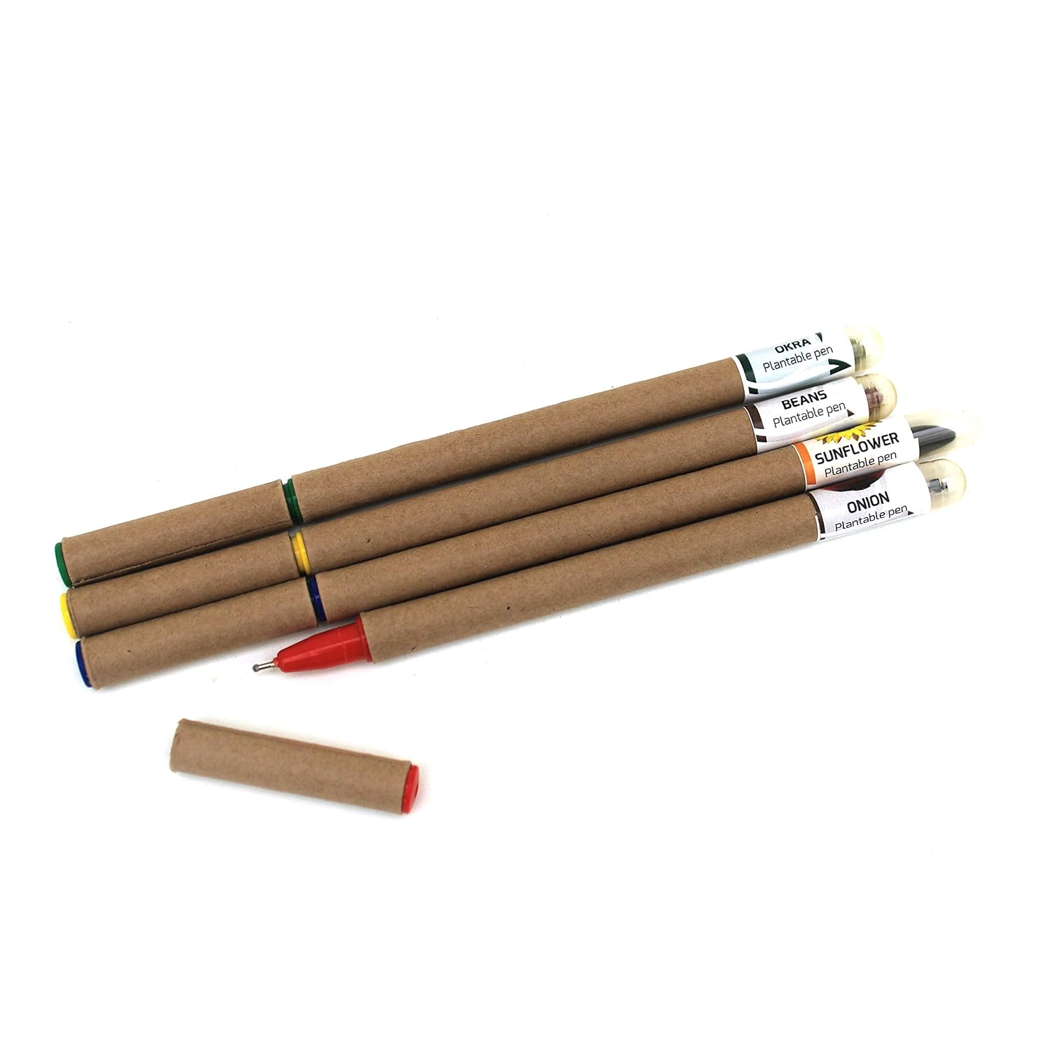 BIOQ PENCIL BOX (30)